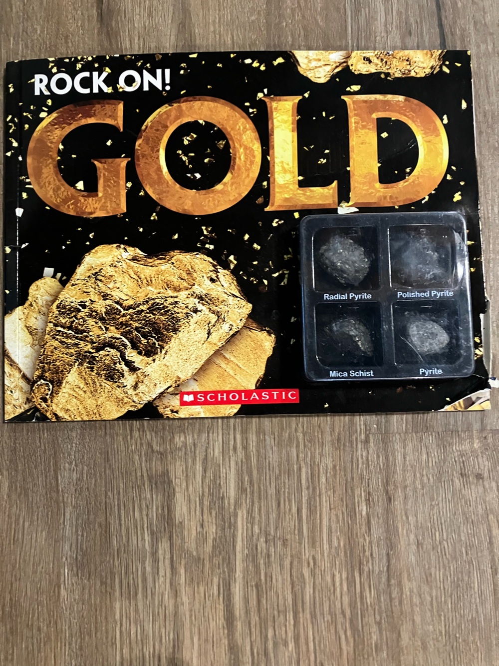 Scholastic Black and Gold Illustrated Cover with Metallic Rock Motif